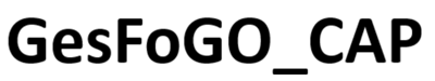 GesFoGO-CAP